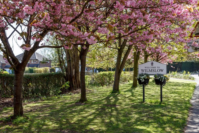website design wilmslow